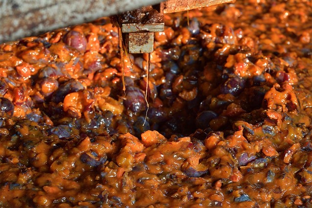 The grinder disrupts fruits to facilitate the fermentation process